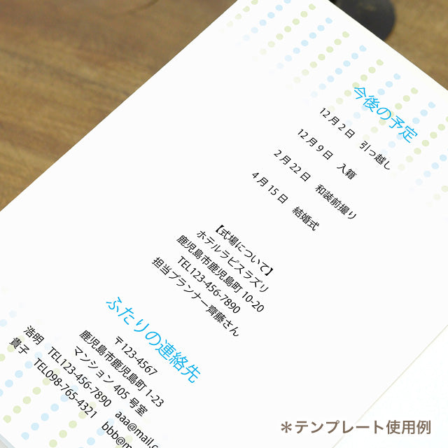 両家顔合わせしおり ホヌ(6部セット)