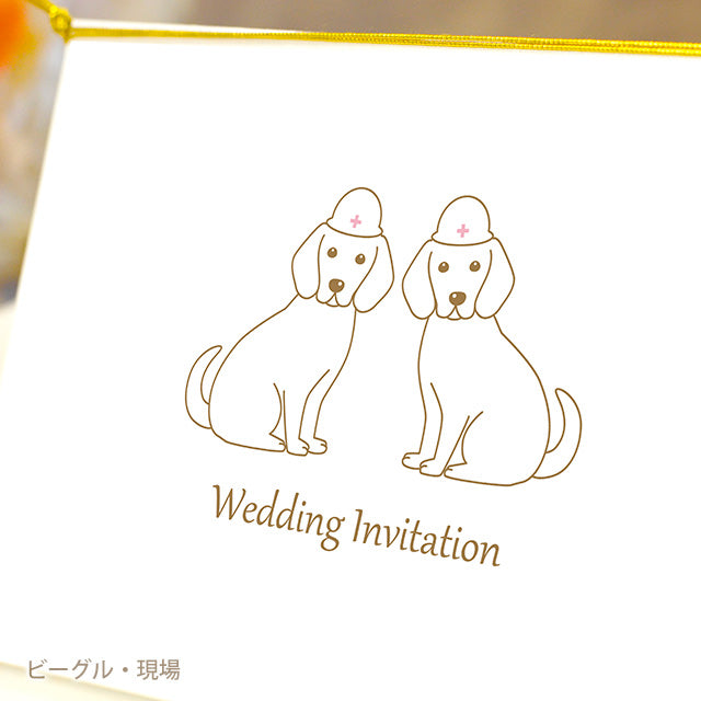 招待状 いぬ・お仕事