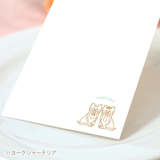 席札 いぬ・ケーキ